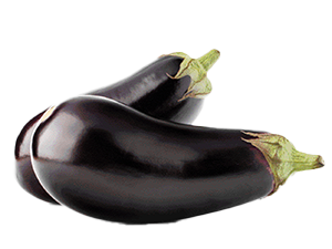 MELANZANE TONDE