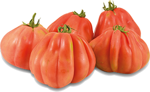 POMODORO CUORE DI BUE