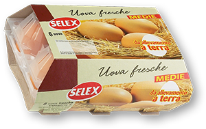 UOVA FRESCHE MEDIE DA ALLEVAMENTO A TERRA X6 