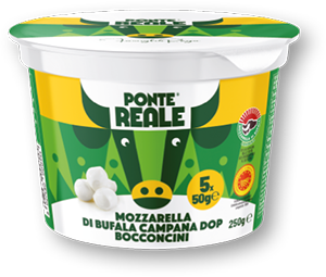 MOZZARELLA DI BUFALA CAMPANA DOP BOCCONCINI PONTE REALE