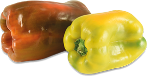 PEPERONI DOLCI GIALLI E ROSSI