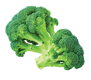 BROCCOLETTI