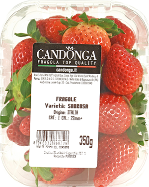 FRAGOLE CANDONGA