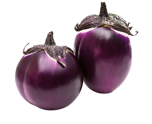 MELANZANE VIOLA