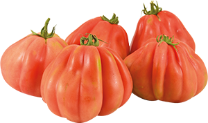 POMODORI CUORE DI BUE