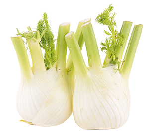 FINOCCHI