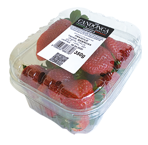 FRAGOLE CANDONGA