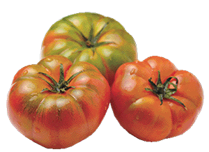 POMODORO COSTOLUTO