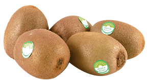 DOLCE KIWI HAYWARD
