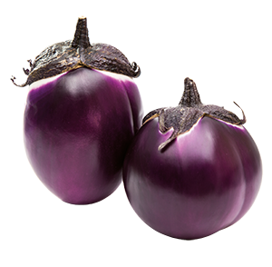 MELANZANE VIOLA