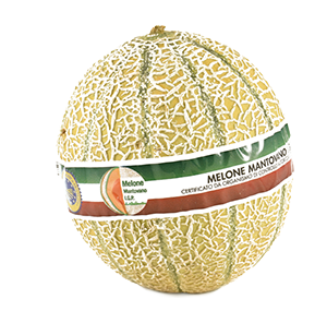 MELONE RETATO IGP MANTOVA