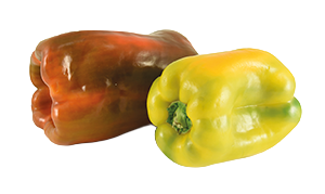 PEPERONI DOLCI GIALLI E ROSSI