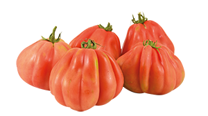 POMODORO CUORE DI BUE PIEMONTE