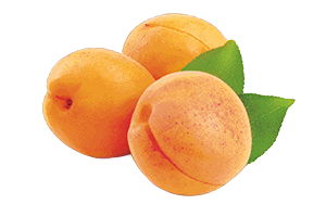 ALBICOCCHE
