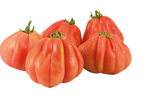 POMODORO CUORE DI BUE