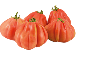POMODORO CUORE DI BUE