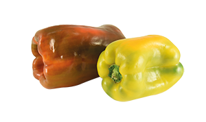 PEPERONI DOLCI GIALLI E ROSSI