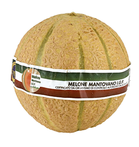 MELONE RETATO IGP MANTOVA