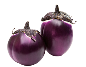 MELANZANE VIOLA