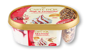 VASCHETTA GELATO CARTE D’OR VARI TIPI