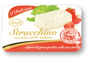 STRACCHINO CREMOSO LA FATTORIA DELLE COSE BUONE I DELIZIOSI