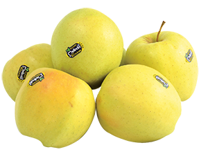 MELINDA MELE GOLDEN DELICIOUS
