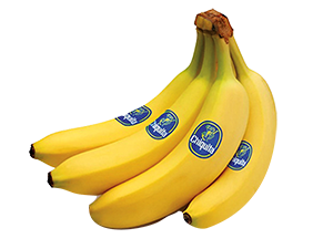 BANANE CHIQUITA