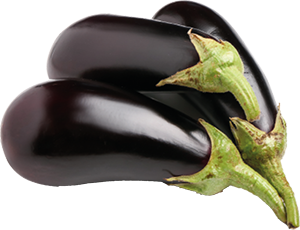 MELANZANE TONDE