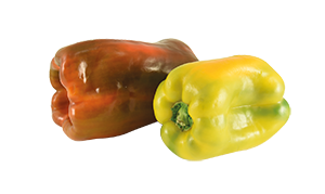 PEPERONI DOLCI GIALLI E ROSSI