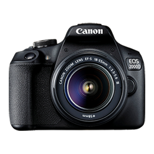 MIRRORLESS