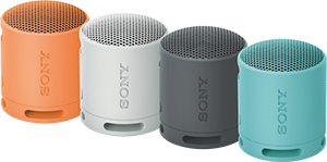 SPEAKER