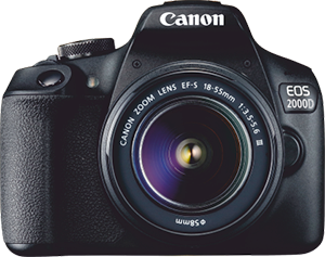 MIRRORLESS