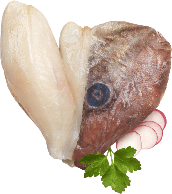 FILETTO DI PESCE SAN PIETRO
