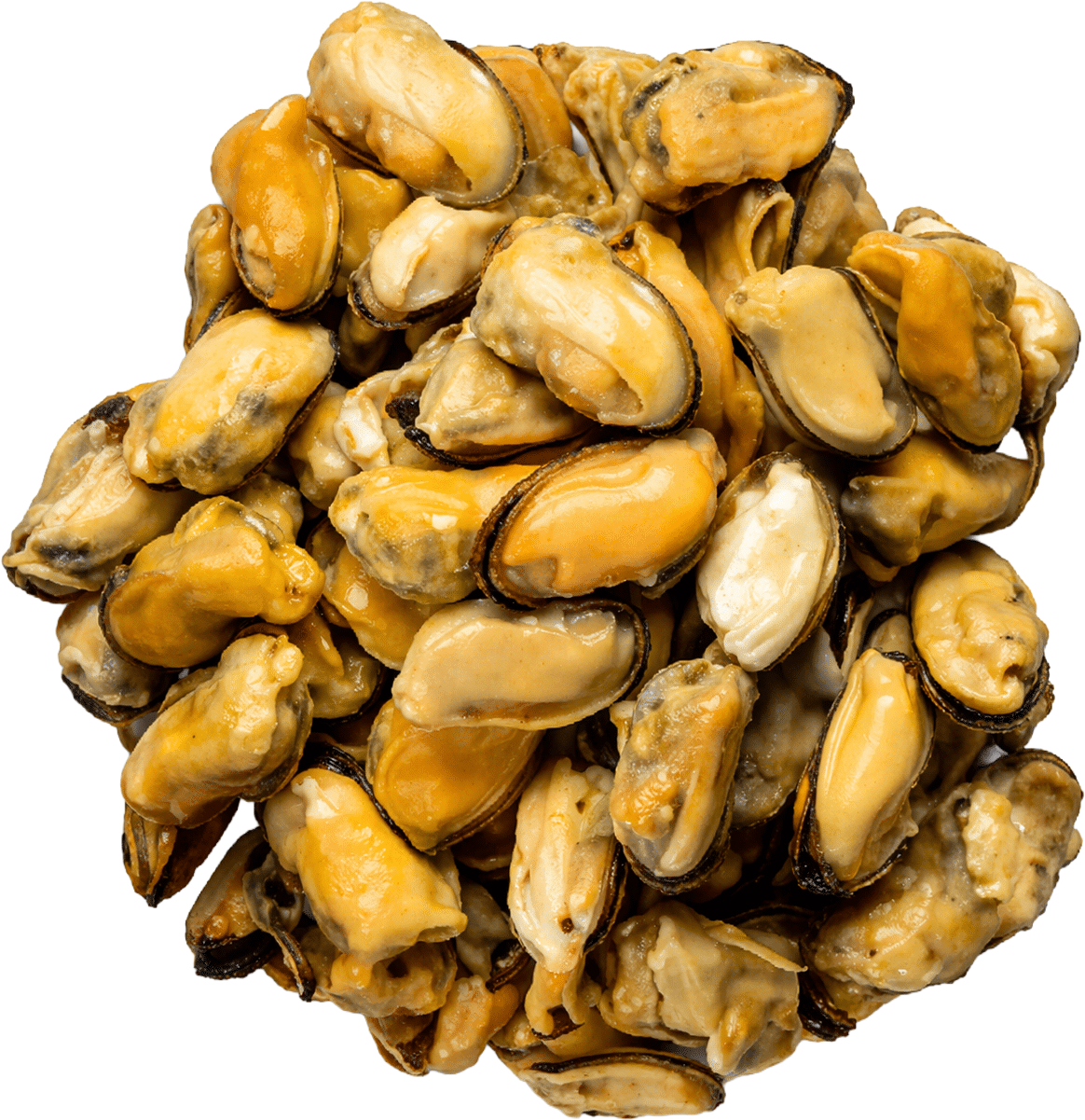 POLPA DI COZZE