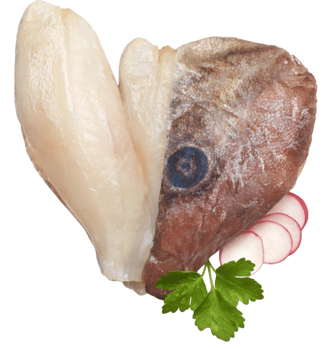 FILETTO DI PESCE SAN PIETRO