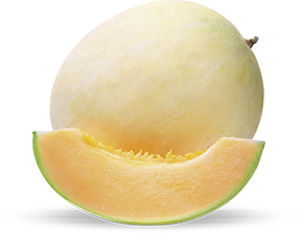MELONE LISCIO MANTOVANO IGP