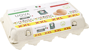 UOVA MEDIE XXL 
