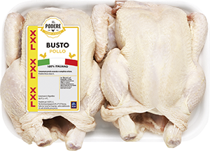 POLLO BUSTO XXL