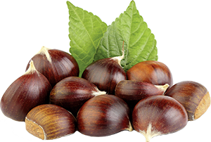 CASTAGNE