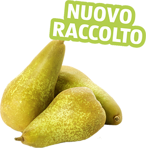 PERE ABATE