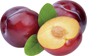 SUSINE 