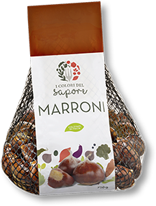 MARRONI