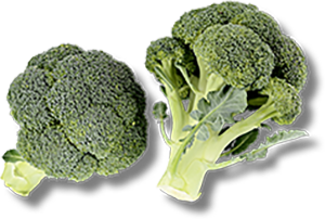 BROCCOLI 