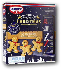 KIT BISCOTTI PAN DI ZENZERO 