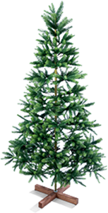 ALBERO DI NATALE