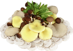 POKER DI FUNGHI TAGLIATI 