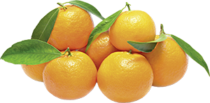 CLEMENTINE CON FOGLIA