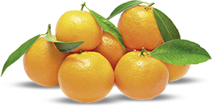 CLEMENTINE CON FOGLIA