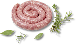 SALSICCIA LUGANEGA 