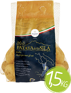 PATATE GIALLE DELLA SILA IGP 